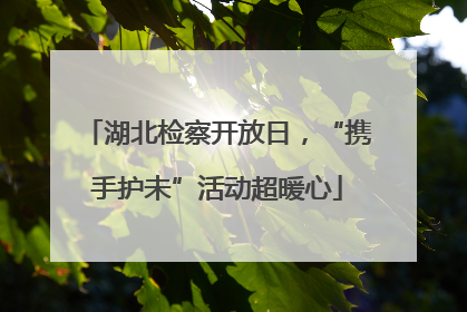 湖北检察开放日，“携手护未”活动超暖心