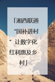 湘西联通“国补进村”让数字化红利惠及乡村