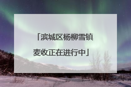 滨城区杨柳雪镇麦收正在进行中