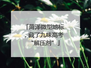 菏泽微型地标，藏了九味高考“解压剂”