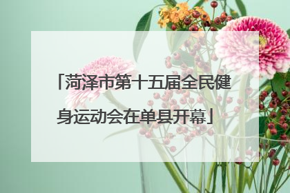 菏泽市第十五届全民健身运动会在单县开幕