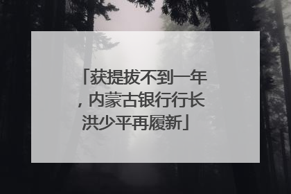 获提拔不到一年，内蒙古银行行长洪少平再履新