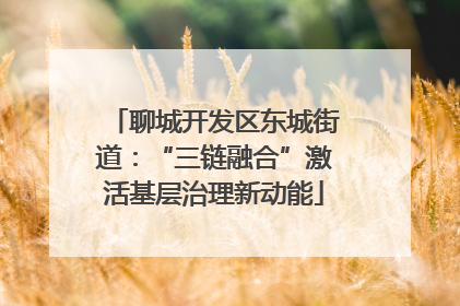 聊城开发区东城街道：“三链融合”激活基层治理新动能