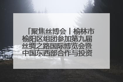 聚焦丝博会丨榆林市榆阳区组团参加第九届丝绸之路国际博览会暨中国东西部合作与投资贸易洽谈会