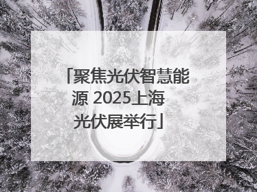 聚焦光伏智慧能源 2025上海光伏展举行
