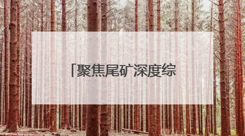 聚焦尾矿深度综合治理 打造有色金属循环经济新模式 张金良一行调研栾川县尾矿库综合治理工作