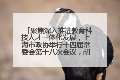 聚焦深入推进教育科技人才一体化发展，上海市政协举行十四届常委会第十八次会议，胡文容出席并讲话