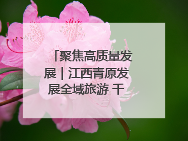 聚焦高质量发展｜江西青原发展全域旅游 千年庐陵焕新颜