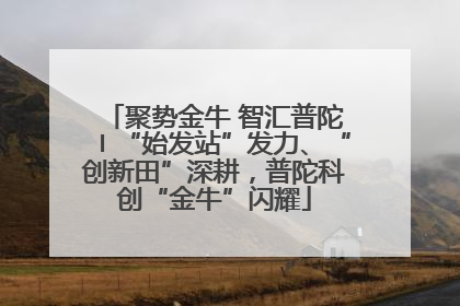 聚势金牛 智汇普陀〡“始发站”发力、“创新田”深耕，普陀科创“金牛”闪耀