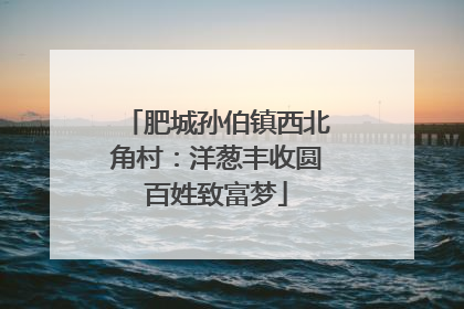肥城孙伯镇西北角村：洋葱丰收圆百姓致富梦