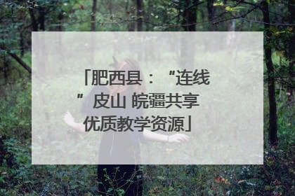 肥西县：“连线”皮山 皖疆共享优质教学资源