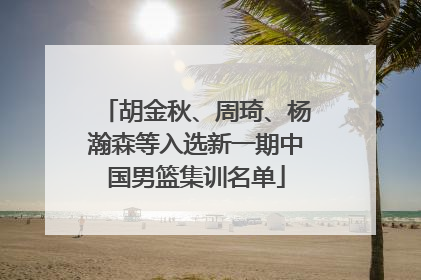 胡金秋、周琦、杨瀚森等入选新一期中国男篮集训名单