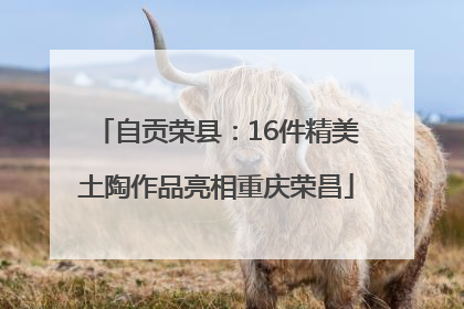 自贡荣县：16件精美土陶作品亮相重庆荣昌
