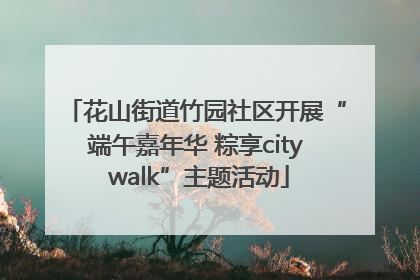 花山街道竹园社区开展“端午嘉年华 粽享city walk”主题活动