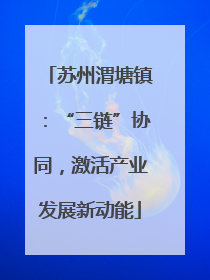 苏州渭塘镇：“三链”协同，激活产业发展新动能