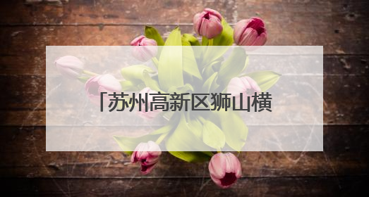 苏州高新区狮山横塘街道聚焦毕业季 为青年人才铺就职场“快车道”