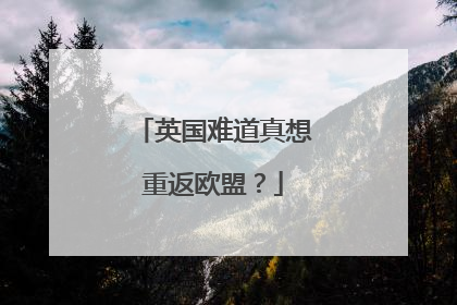 英国难道真想重返欧盟？