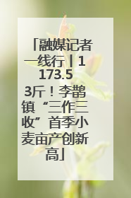 融媒记者一线行丨1173.53斤！李鹊镇“三作三收”首季小麦亩产创新高