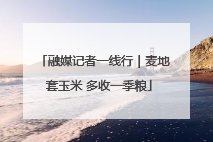 融媒记者一线行｜麦地套玉米 多收一季粮