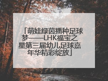 萌娃绿茵播种足球梦——LHK福宝之星第三届幼儿足球嘉年华精彩绽放