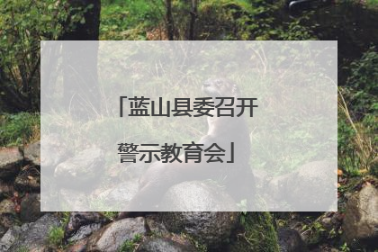 蓝山县委召开警示教育会