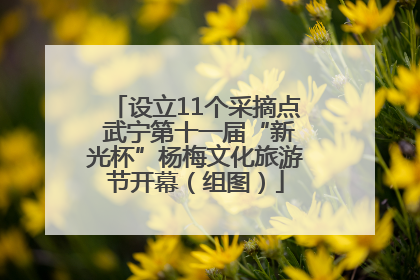 设立11个采摘点 武宁第十一届“新光杯”杨梅文化旅游节开幕（组图）