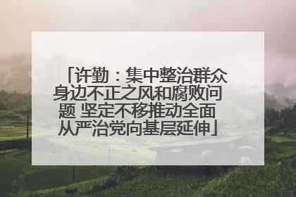 许勤：集中整治群众身边不正之风和腐败问题 坚定不移推动全面从严治党向基层延伸