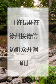 许昆林在徐州接待信访群众并调研