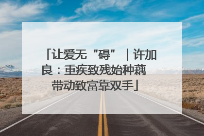 让爱无“碍”｜许加良：重疾致残始种藕 带动致富靠双手