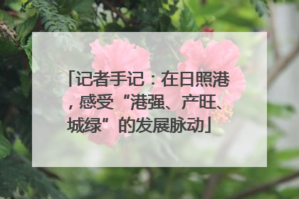 记者手记：在日照港，感受“港强、产旺、城绿”的发展脉动