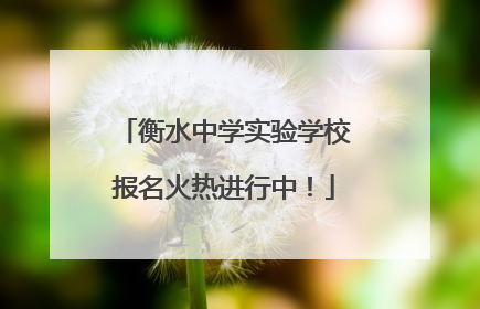 衡水中学实验学校报名火热进行中！