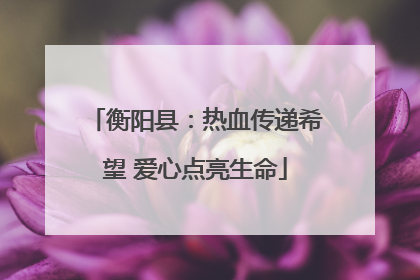 衡阳县：热血传递希望 爱心点亮生命