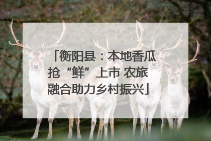 衡阳县：本地香瓜抢“鲜”上市 农旅融合助力乡村振兴