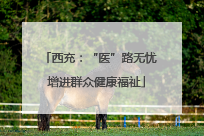 西充：“医”路无忧 增进群众健康福祉