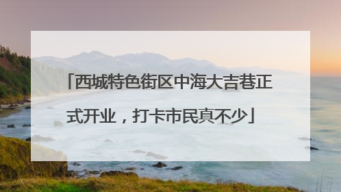 西城特色街区中海大吉巷正式开业，打卡市民真不少