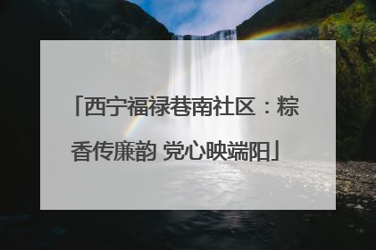 西宁福禄巷南社区：粽香传廉韵 党心映端阳
