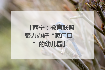 西宁：教育联盟聚力办好“家门口”的幼儿园