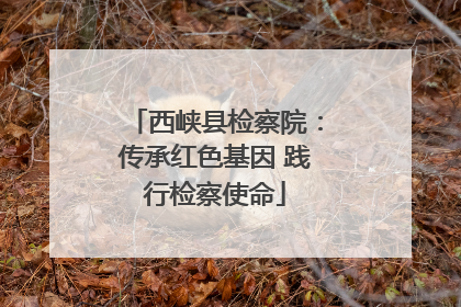 西峡县检察院：传承红色基因 践行检察使命