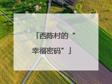西陈村的“幸福密码”