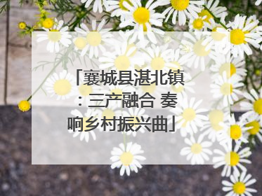 襄城县湛北镇：三产融合 奏响乡村振兴曲