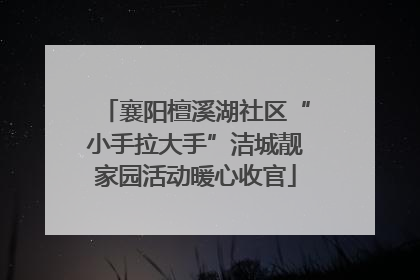 襄阳檀溪湖社区“小手拉大手”洁城靓家园活动暖心收官
