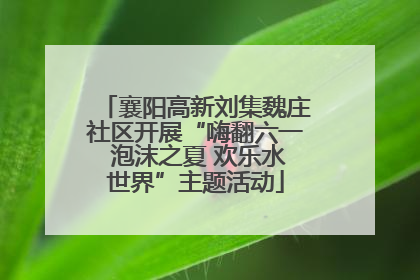 襄阳高新刘集魏庄社区开展“嗨翻六一 泡沫之夏 欢乐水世界”主题活动