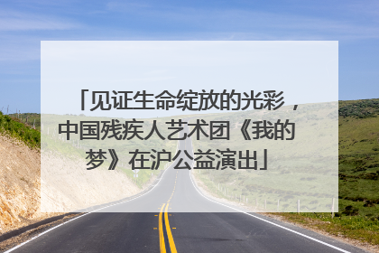 见证生命绽放的光彩，中国残疾人艺术团《我的梦》在沪公益演出