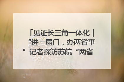 见证长三角一体化｜“进一扇门，办两省事”记者探访苏皖“两省一街”警务室