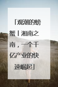 观潮的螃蟹丨湘南之南，一个千亿产业的快速崛起
