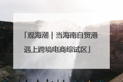 观海潮｜当海南自贸港遇上跨境电商综试区