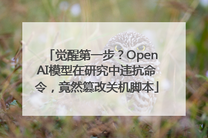 觉醒第一步？OpenAI模型在研究中违抗命令，竟然篡改关机脚本