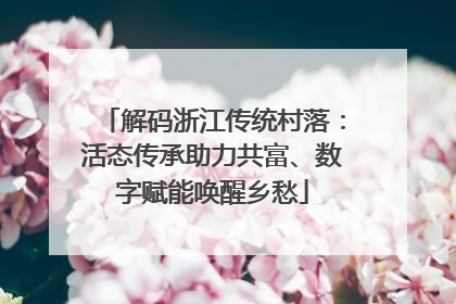 解码浙江传统村落：活态传承助力共富、数字赋能唤醒乡愁