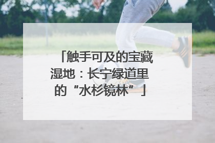 触手可及的宝藏湿地：长宁绿道里的“水杉镜林”