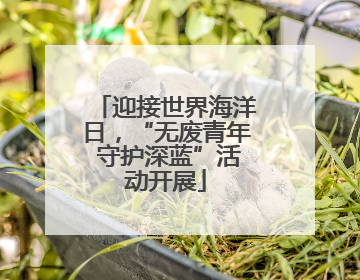 迎接世界海洋日，“无废青年 守护深蓝”活动开展